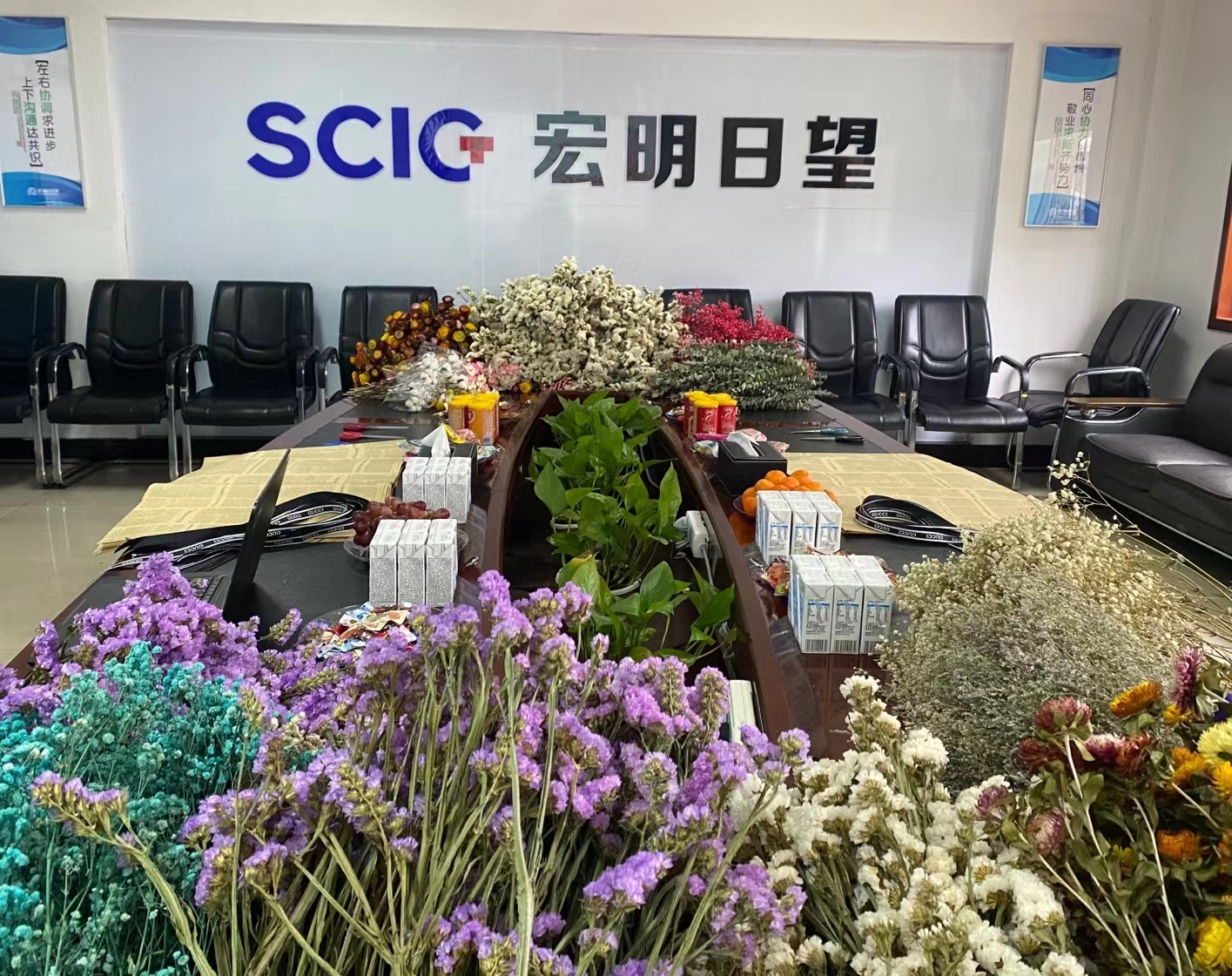 欧亿(中国),宏明日望,株洲电子科技,湖南电容器,株洲电容器,电容器